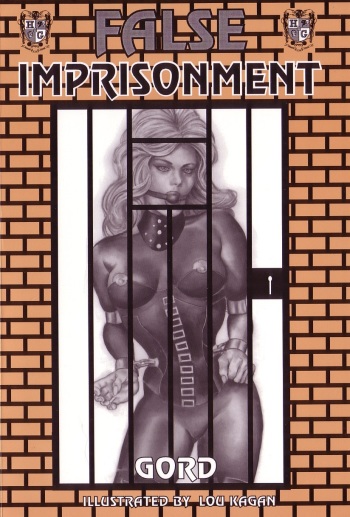 False Imprisonment cover