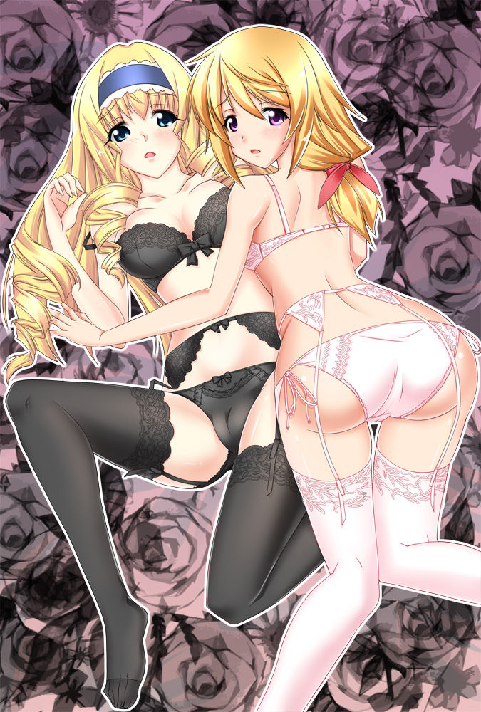 Infinite Stratos Hentai Images Pack page 7 full