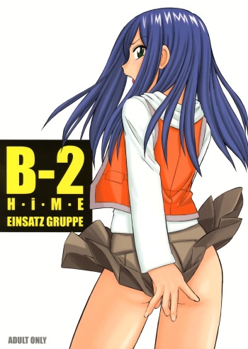 B-2 H-i-M-E cover