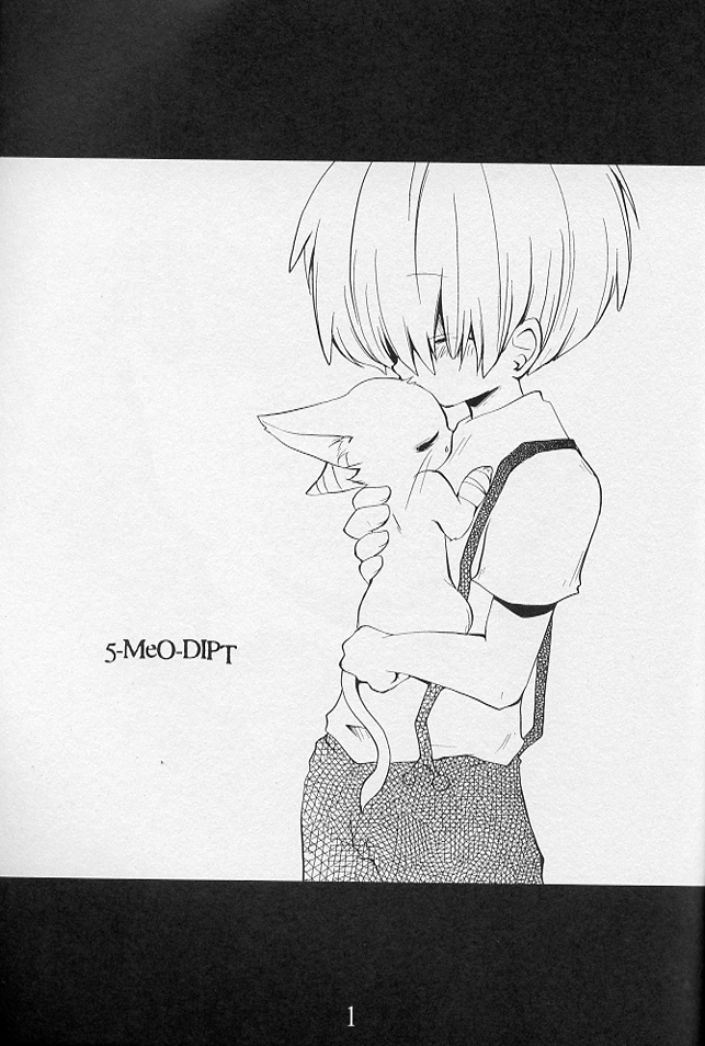5-MeO-D page 3 full