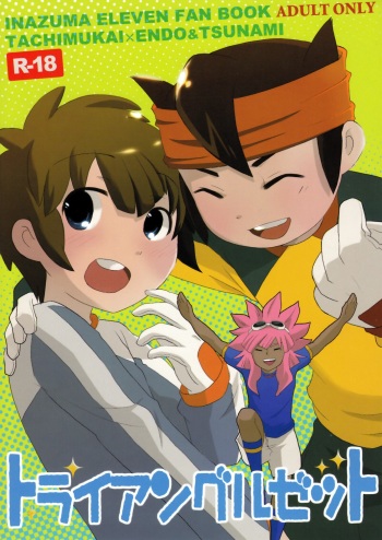 Triangle Z cover