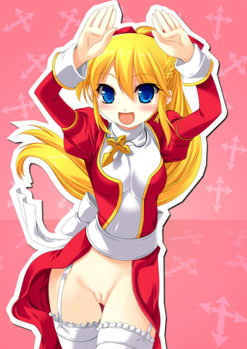 No Panties Collection cover