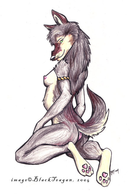 Furry Collection 2 page 1 full