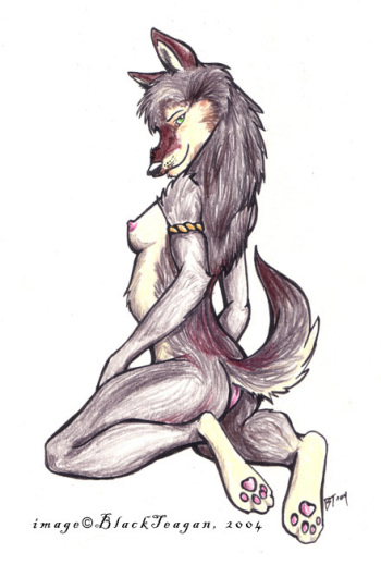 Furry Collection 2 cover