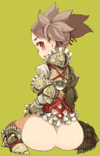 Useless Armor cover