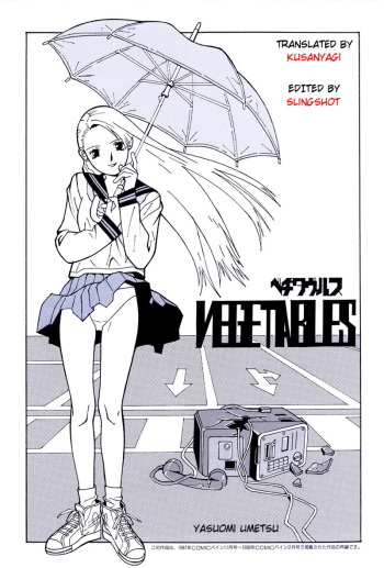 Vegetables cover