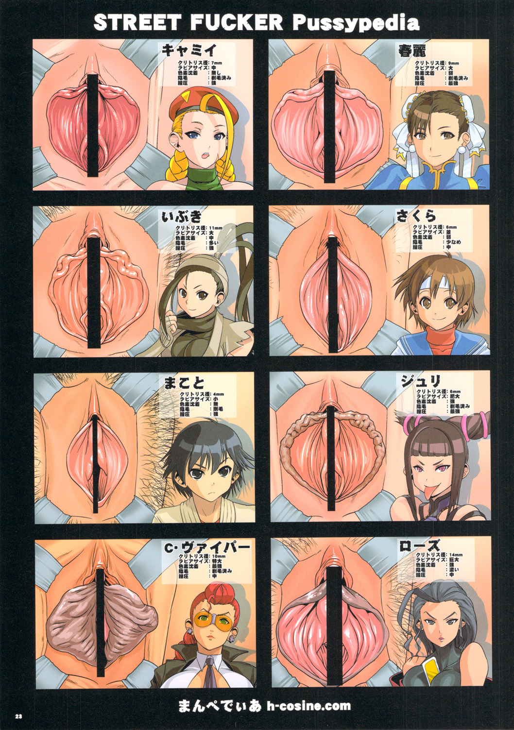Street Fiterer Hentai Skylimit collection page 8 full