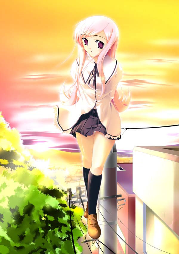 aoimikan CG page 7 full
