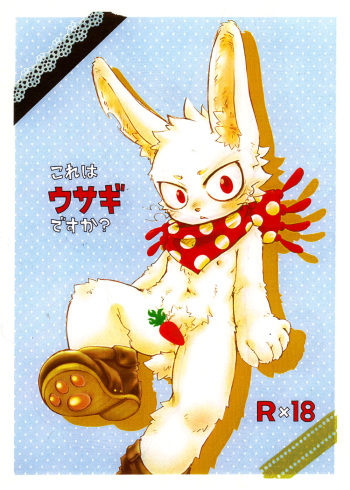 Kore Ha Usagi Desuka cover