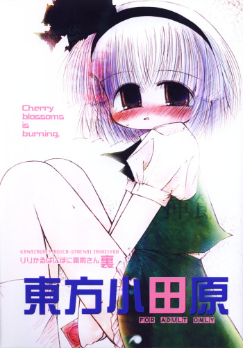 Lyrical Pani Poni Kirisame-san Ura Touhou Odawara cover