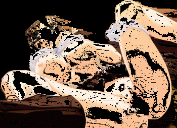 My gif 4 cover