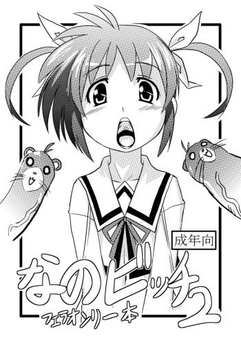 Nano Bitch 2 cover