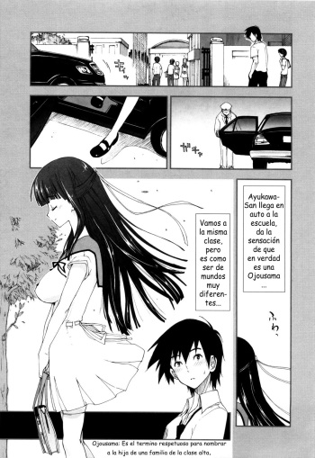 Inexperienced Ojousama cover