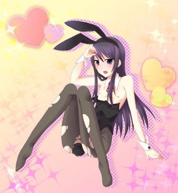 trap_2 cover