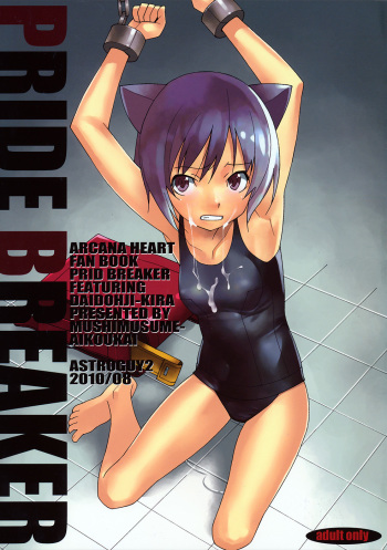 PRIDE BREAKER cover