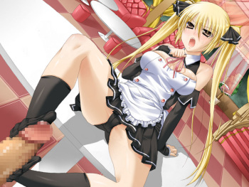 Ashikoki Gallery Part 9 cover