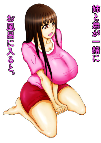 Ane to Otouto ga Issho ni Ofuro ni Hairu to. cover