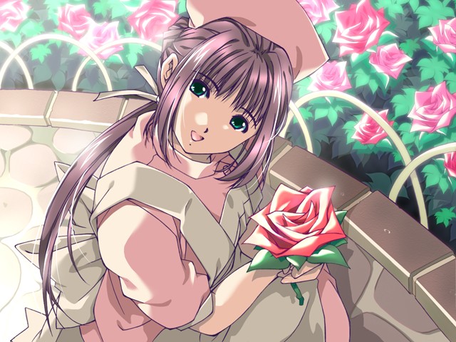 CG Colection page 3 full