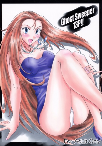 GhostSweeper13P cover