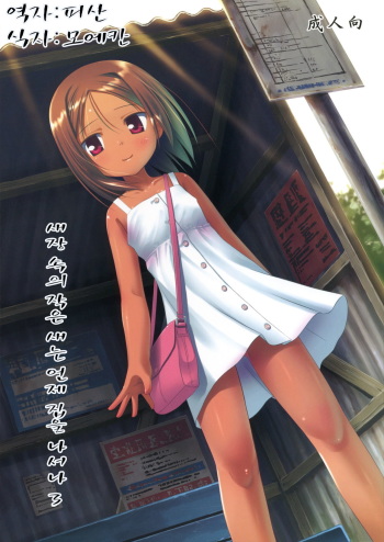 Kago no Naka no Kotori wa Itsu Deyaru 3 cover