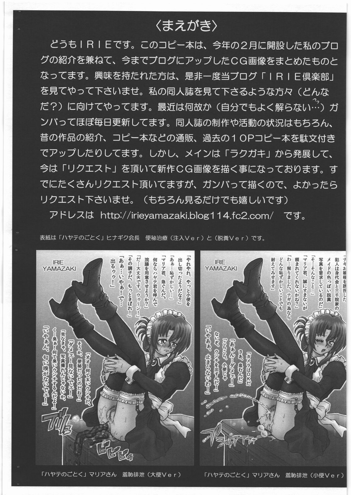 IRIE Club Blog Guide page 2 full