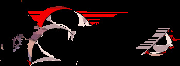 hentai gif  collection cover