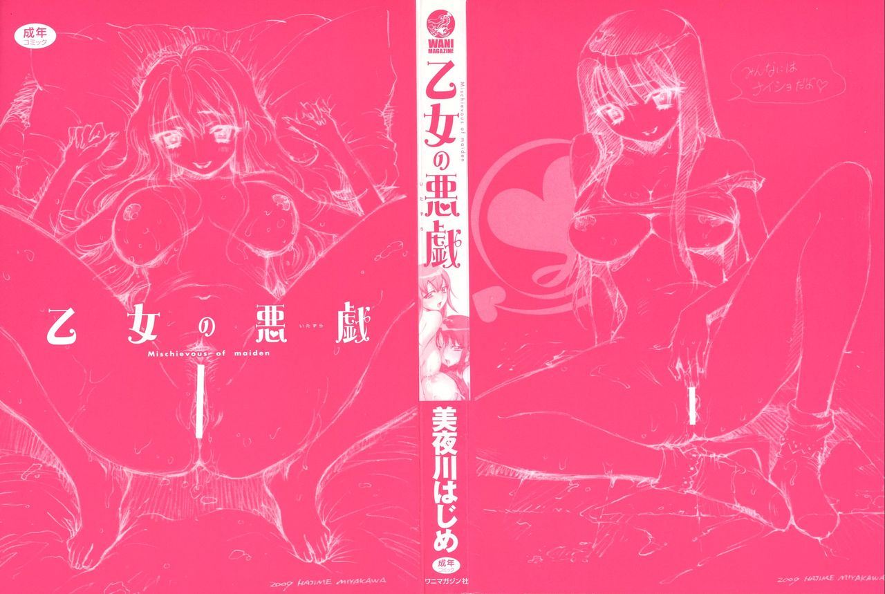 Otome no Itazura - Mischievous of Maiden | 아가씨의 장난 page 2 full