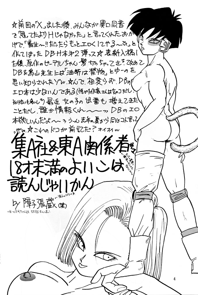 XX page 4 full