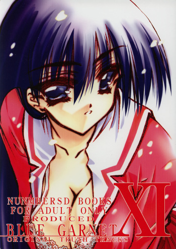 BLUE GARNET XI Duplicate cover