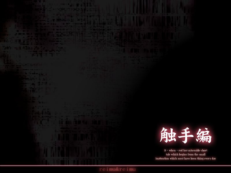 Reimu &amp; Reimu Mousou Lunatic page 3 full