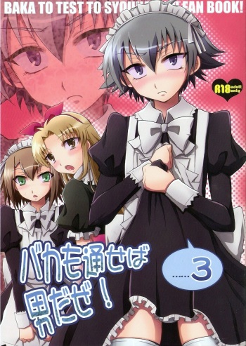 Baka mo Tooseba Otoko daze! 3 cover