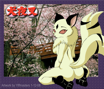 kirara cover