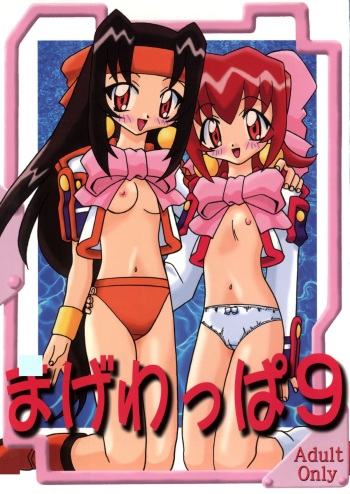 Magewappa 9 cover