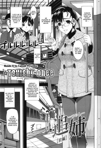 Tsuishi cover