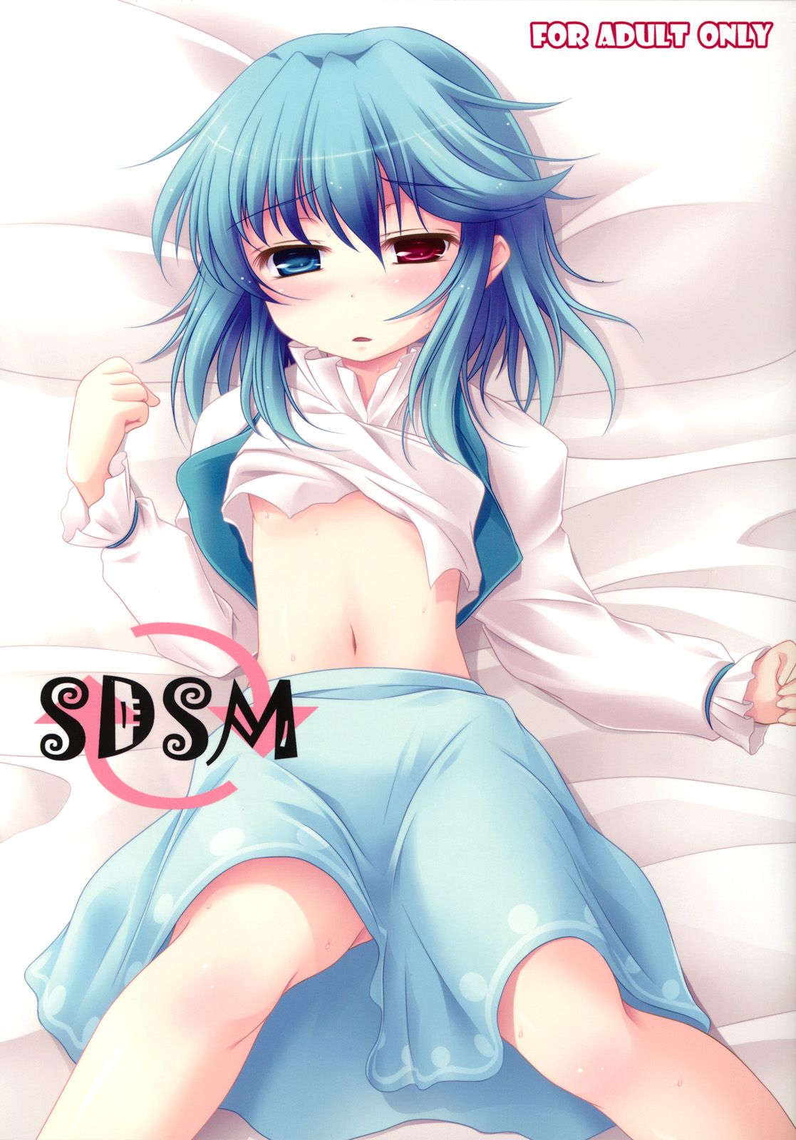 SDSM page 1 full