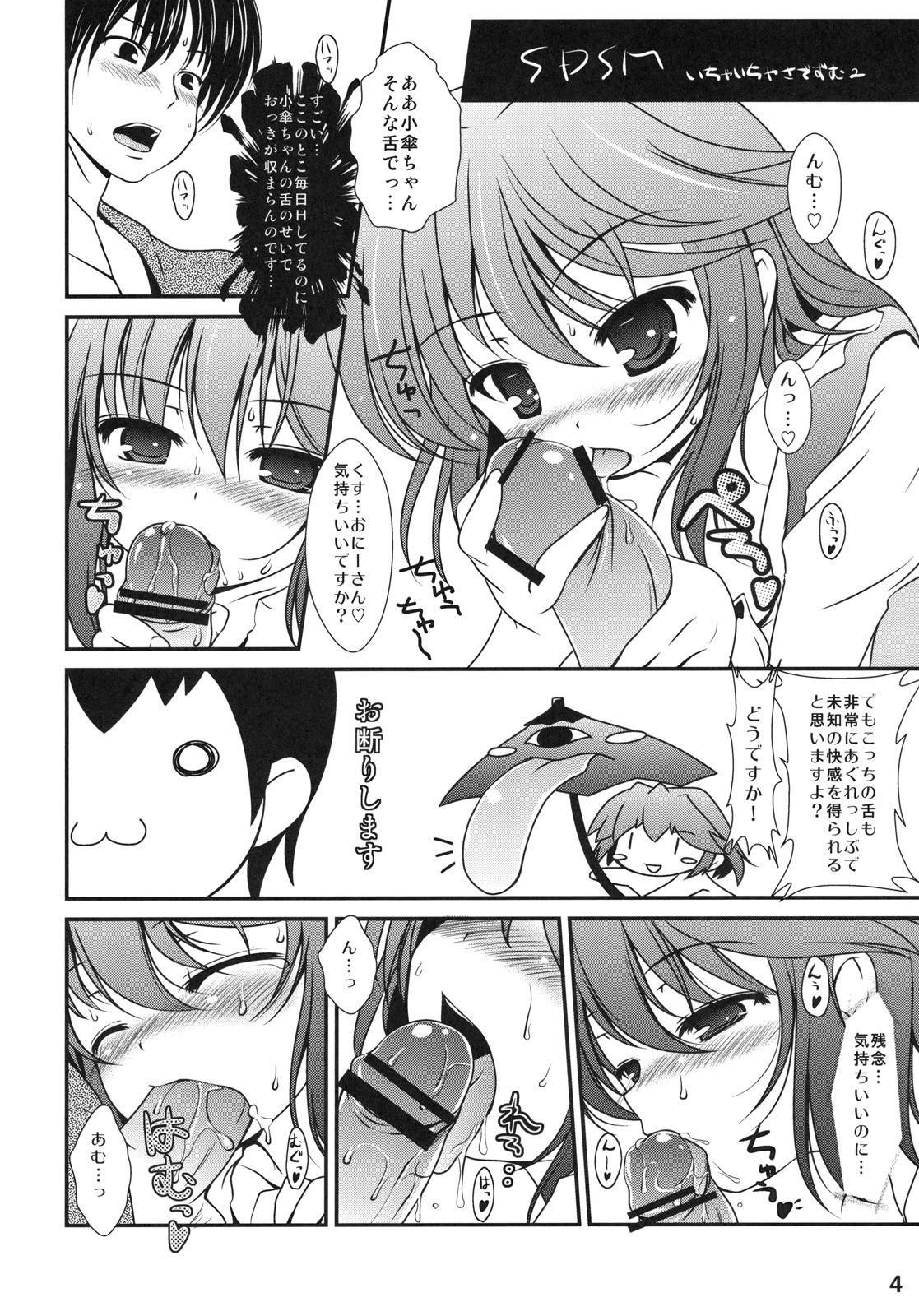 SDSM page 3 full