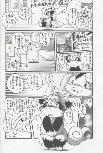 Chibineco - Health &amp; PE cover