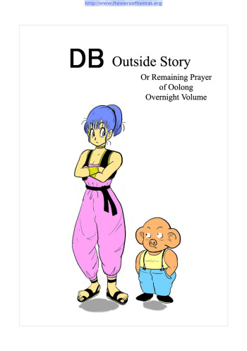 DB Gaiden - Oolong no Negai no Maki | DB Outside Story cover