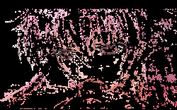 Gif Pack 3