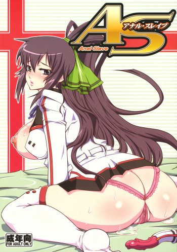 AS Anal Slave cover