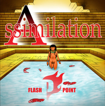 Assimilation 同化 cover
