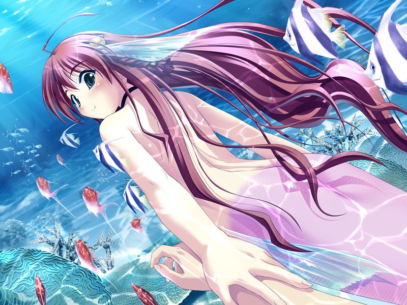 Asanagi no Aquanauts - Yoyaku Tokuten Sukumizu Disk ～ School Swimsuit Disc ～ page 1 full