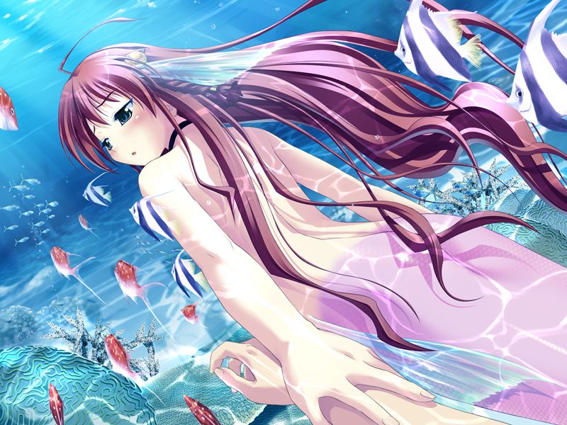 Asanagi no Aquanauts - Yoyaku Tokuten Sukumizu Disk ～ School Swimsuit Disc ～ page 2 full