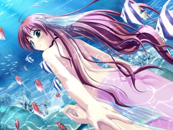 Asanagi no Aquanauts - Yoyaku Tokuten Sukumizu Disk ～ School Swimsuit Disc ～ cover