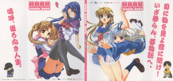 Visual Book cover