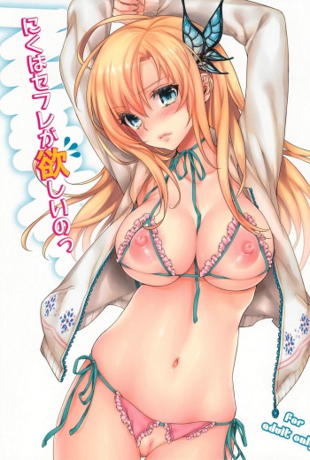Niku wa Sefure ga Hoshii no cover