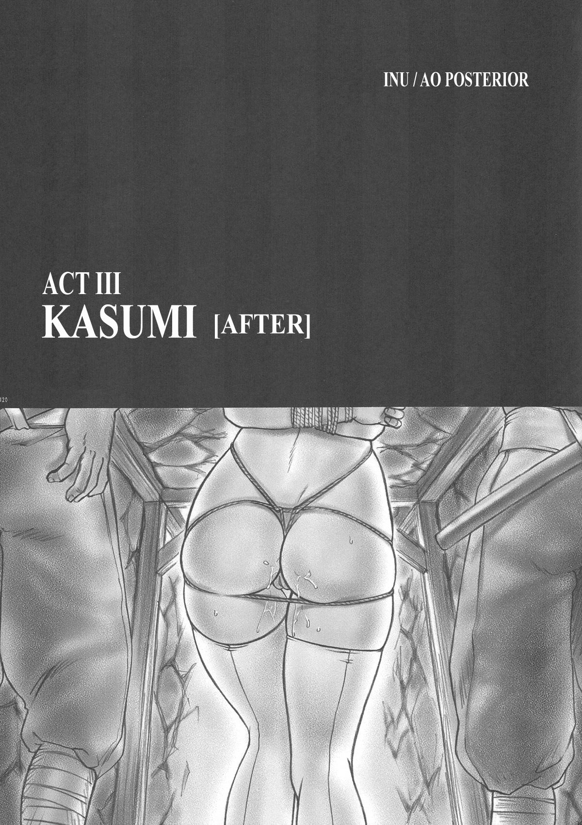 INU/AO Posterior page 9 full