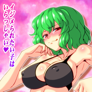 Kazami Yuuka cover