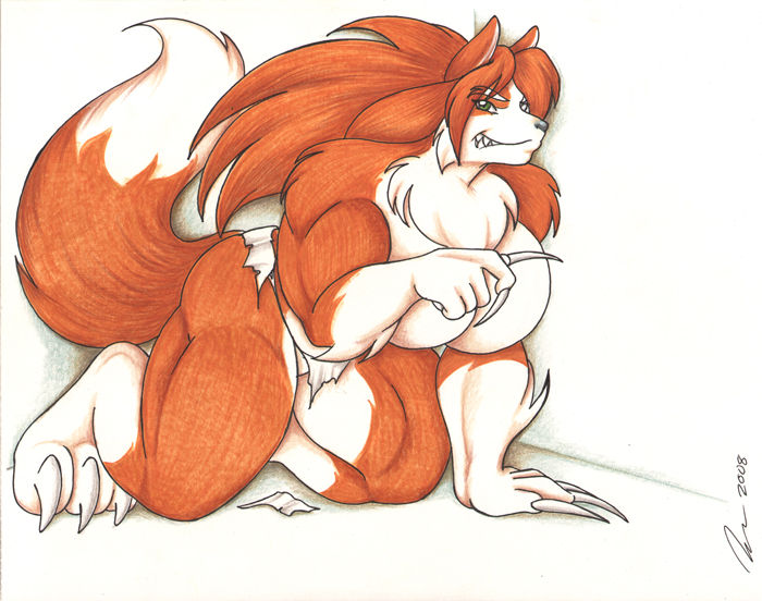 Fox Dog Wolf MegaPack Gallery page 7 full