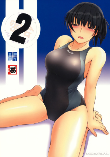 Mikkai 2 - Secret Assignation 2 cover